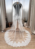 Cathedral Lace Wedding Veil by Lace & Love (view 1)